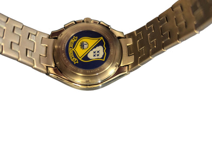 Citizen Eco Drive Skyhawk
