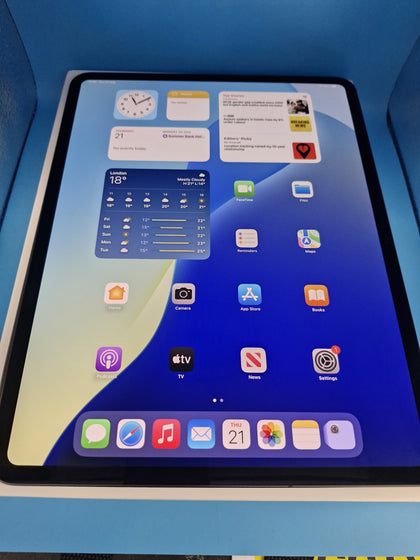 Apple 13