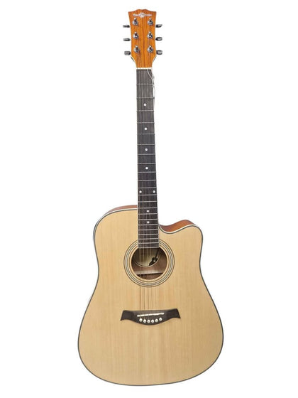Gears for Music electric acoustic Guitar