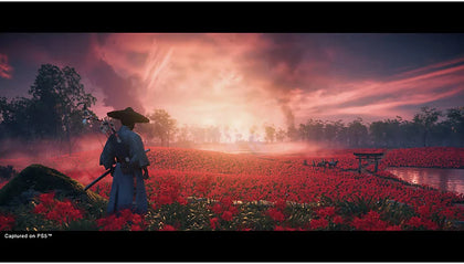 Ghost of Tsushima Director's Cut ***Bank Holiday Sales***