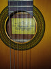 Raimundo Acoustic Guitar Model 112