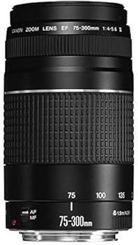 Canon EF 75-300mm f/4-5.6 III USM Telephoto Zoom Lens - boxed