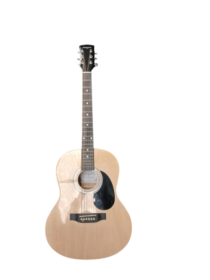 ***January Sale*** Martin Smith Acoustic Guitar **STORE COLLECTION**