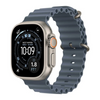Apple Watch Ultra 3 5G Cellular Smartwatch 49mm Titanium Black with Ocean Band