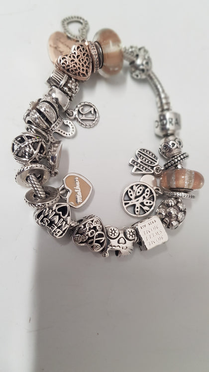 Pandora Bracelet, Charms and Safety Chain