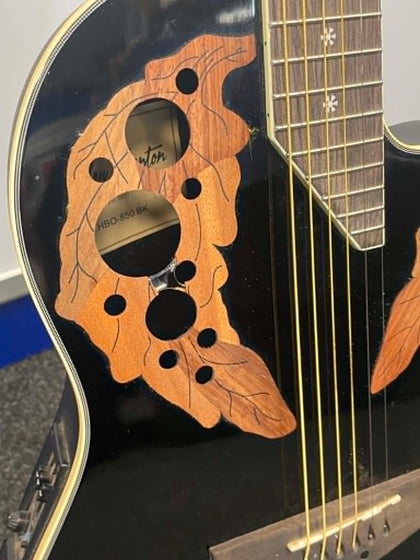 harley benton guitar