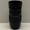 Pansonic Lumix G Vario 100-300mm Lens