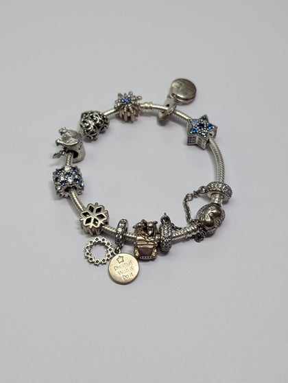 Pandora Bracelet With 10 Charms
