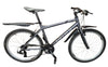 Carrera Subway 13 Ltd - Silver Grey
