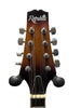 Republic 8 String Mandolin