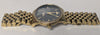 Vivienne Westwood Wallace Women's Watch