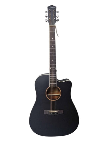 Donner dag- 1cb 6 string 20 fret guitar with carry bag