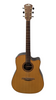 Chord CW46E Electro Acoustic Guitar - Natural