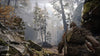 God of War PS4