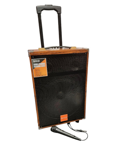 BAAB 60W Rechargeable Outdoor Trolley Speaker COLLECTION ONLY