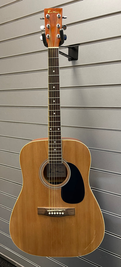 Blue Moon GR5411 Semi-Accoustic Guitar