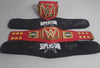RARE Superstar Experience WWE Championship Mini Replica Title Belt Official WWE