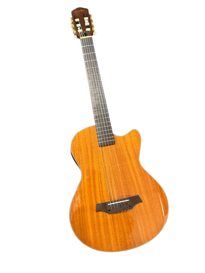 Angel Lopez Semi-Acoustic Guitar