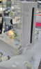 Nintendo Wii Bundle