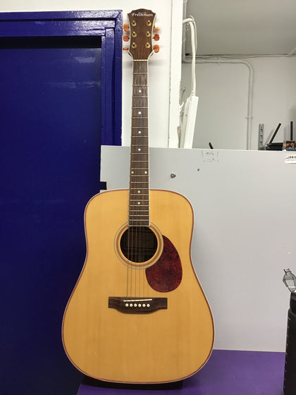 Freshman FA250D Acoustic Guitar