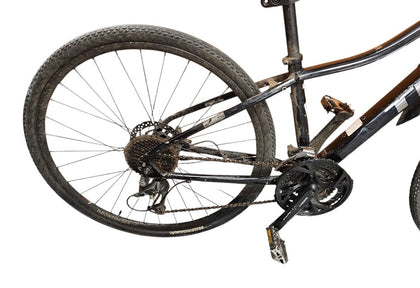Trek Dual Sport 3 Ladies Bike