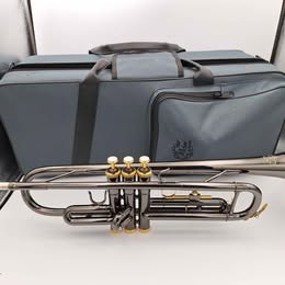 J. Michael Bb Trumpet – Brass Musical Instrument Outfit – With Carry Case