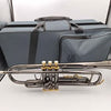J. Michael Bb Trumpet – Brass Musical Instrument Outfit – With Carry Case