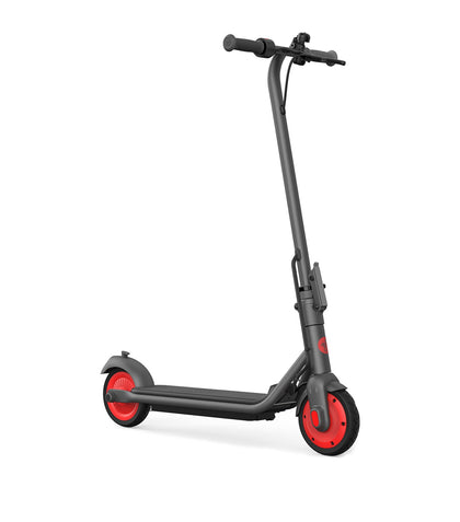 Segway Ninebot Zing C20 Electric Scooter **Collection Only**