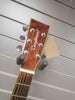 Tanglewood Electro Acoustic Guitar Evolution Exotic TSF CE XB