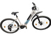 Rock Machine Storm e70 E-Bike