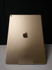 iPad Pro 2nd Gen (A1670) - 256GB - Cellular & Wifi