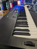 Casio ctk 3400sk Music Keyboard