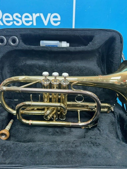 Rossetti Series 5 With Case