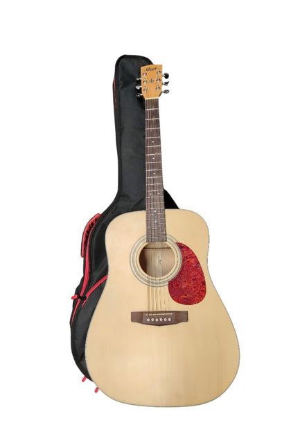 Cort Boston D10 Acoustic Guitar w/bag