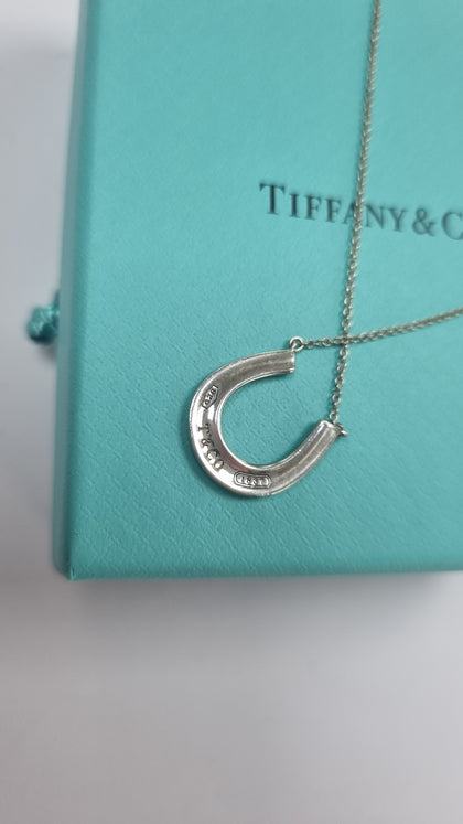Tiffany & Co sterling silver Necklace LEYLAND.