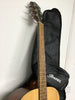 Ibanez vc50jp-nt Acoustic Guitar