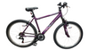 Apollo Jewel Womens Mountain Bike - Purple *COLLECTION ONLY*