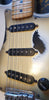 1977 Fender Stratocaster Antique Blue