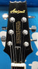 Aria Pro 2 TA40 with Hardcase