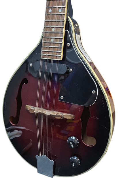 Stagg M50E Electro Mandolin