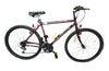 SPARES or REPAIR Leopard Falcon Bike COLLECTION ONLY