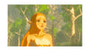 The Legend of Zelda:Breath of the Wild
