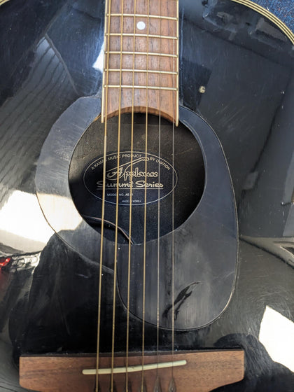 Applause Electro-Acoustic Guitar AE21