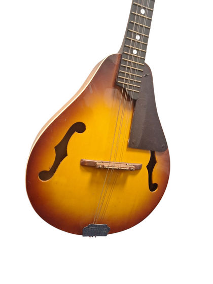 ** Christmas Sale ** Santa Rosa Mandolin