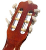 Rio 6 String Acoustic Guitar