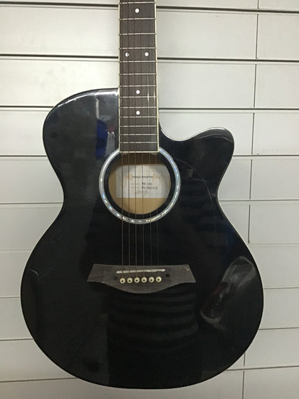 World Rhythm Acoustic Guitar