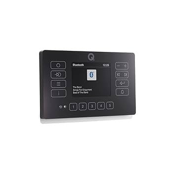 Q Acoustics E120 Black Bluetooth Ceiling Speaker System with DAB+ Radio