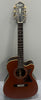 Epiphone Masterbilt EF-500 RCCE - Shaded Brown Finish Guitar