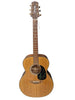 Takamine g series acoustic guitar