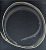 925 Hallmarked Silver, Engraved Bangle with Adjusting Size, 4"-8", 29.24g, Boxed